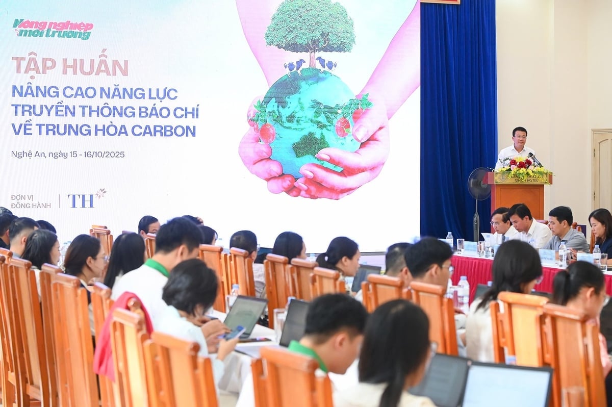Tập huấn nâng cao năng lực truyền thông báo chí về trung hòa carbon. Ảnh: Tùng Đinh.