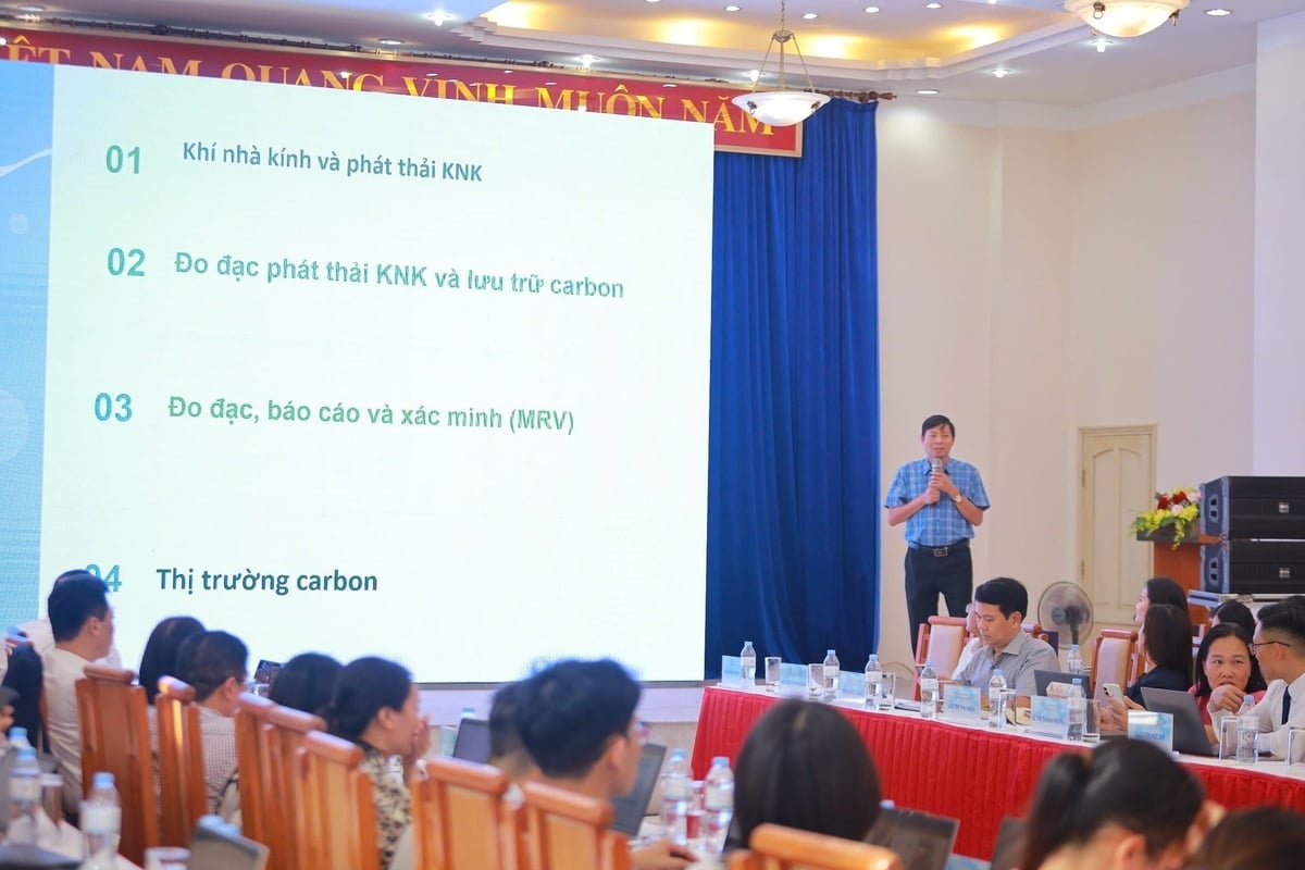PGS.TS Mai Văn Trịnh thuyết trình rõ nhiều nội dung liên quan đến đo phát thải khí nhà kính và lưu trữ carbon. Ảnh: Ngọc Linh.