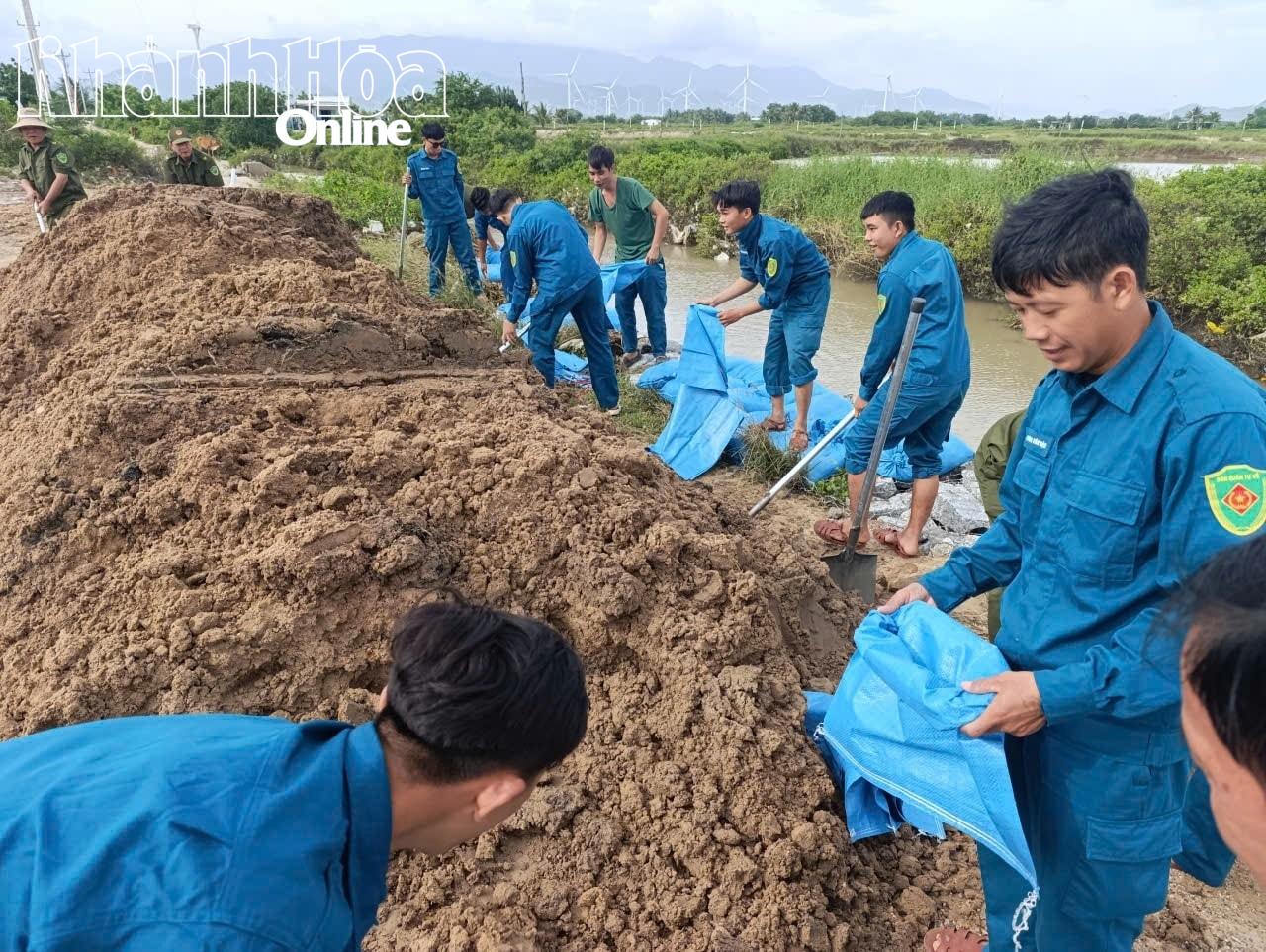 Ninh Hai mobiliserade styrkor för att förbereda jordsäckar för att fylla utsatta områden.