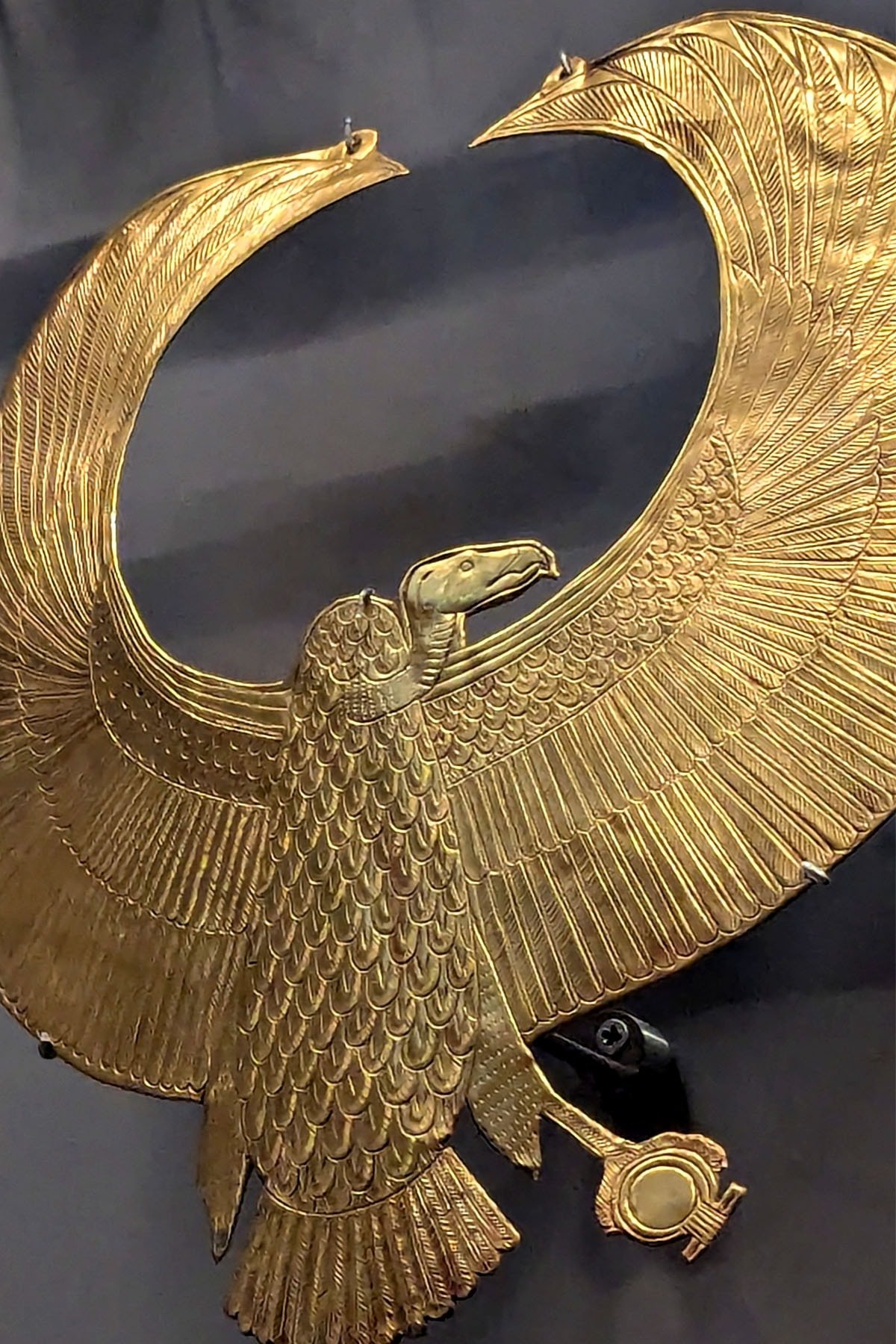 Les visiteurs ont été impressionnés par l'image d'un vautour de la Vallée des Rois exposée dans la galerie 8.