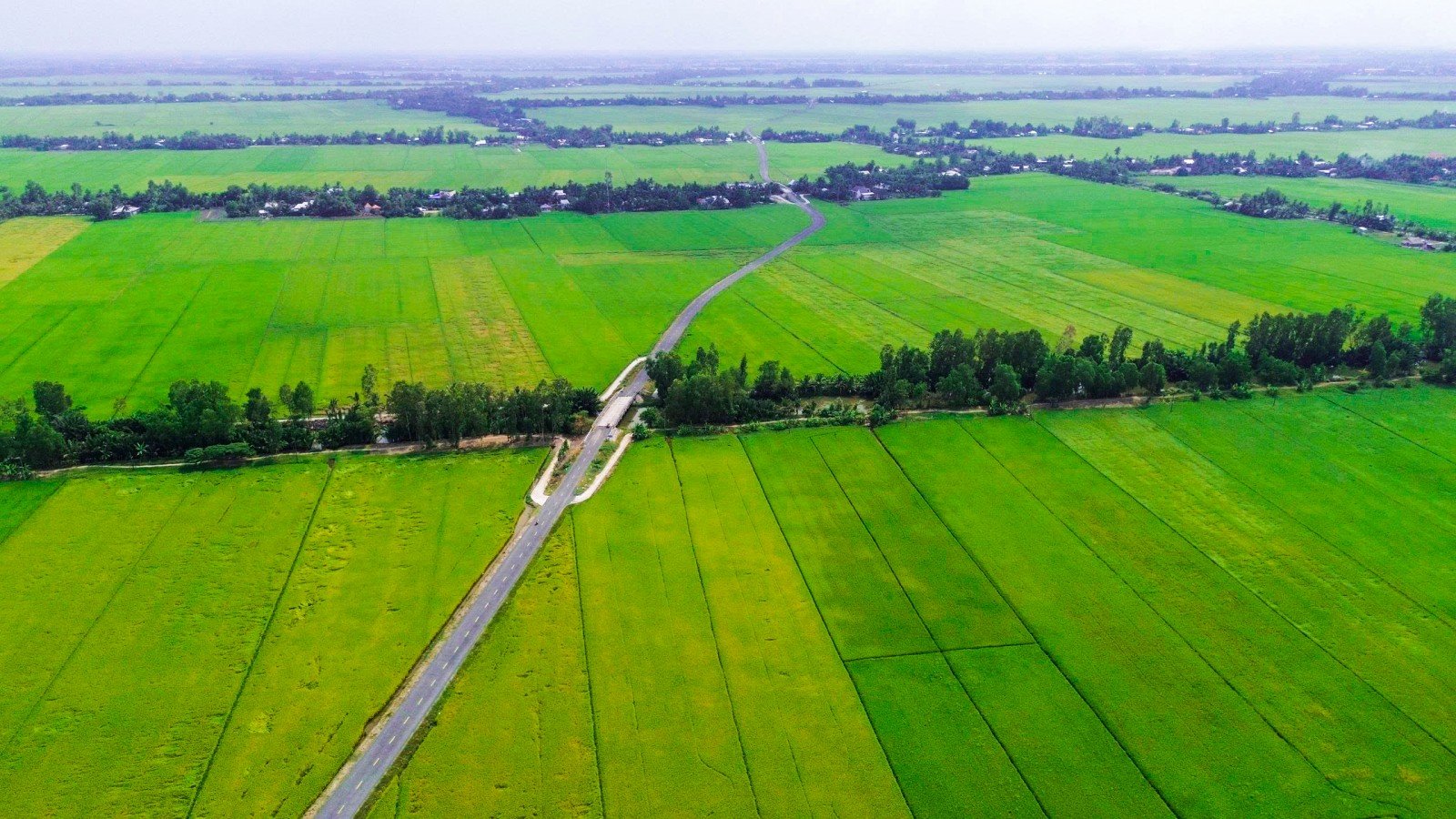 Đổi thay vùng căn cứ cách mạng Vĩnh Hòa