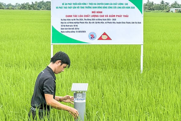 הפרויקט תורם לשיפור איכות האורז, להפחתת עלויות חומרי הגלם ולהפחתת פליטות גזי חממה.