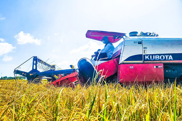 המגזר החקלאי מקדם את העברת תהליכי ייצור האורז האיכותיים והדליפי פליטות.