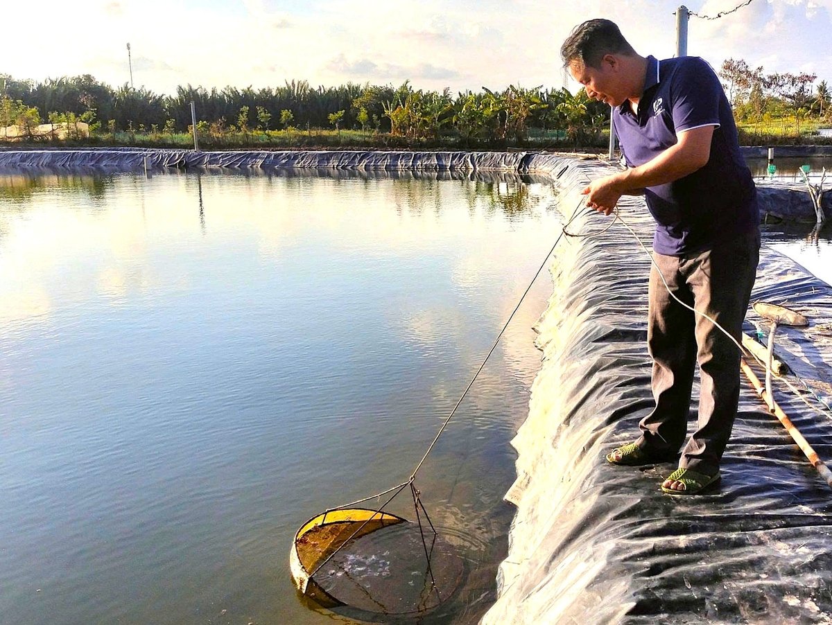 El Departamento de Agricultura y Medio Ambiente de Vinh Long establece un objetivo de crecimiento del 3,2% para 2026. Foto: Minh Dam. Ngành Nông nghiệp và Môi trường Vĩnh Long đặt mục tiêu tăng trưởng năm 2026 là 3,2%. Ảnh: Minh Đảm.