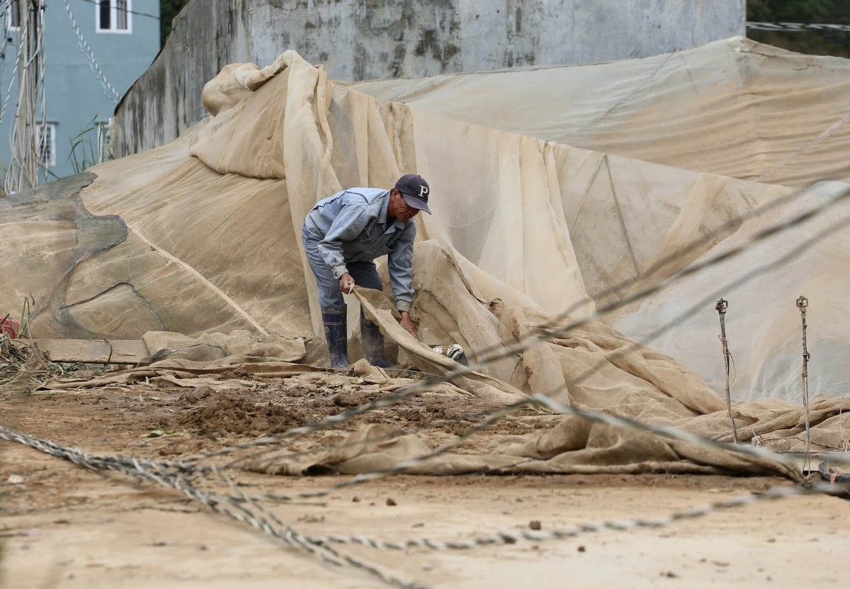 Hệ thống nhà kính bị sụp đổ hàng loạt sau trận lũ gây thiệt hại nghiêm trọng cho người dân. Ảnh: TL