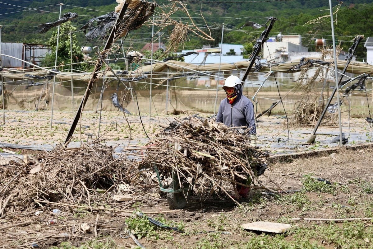 Hiện tại, mực nước sông Đa Nhim rút dần, bà con nhân dân gạt qua mất mát để dọn dẹp chuẩn bị làm đất xuống giống lại. Ảnh: TL.