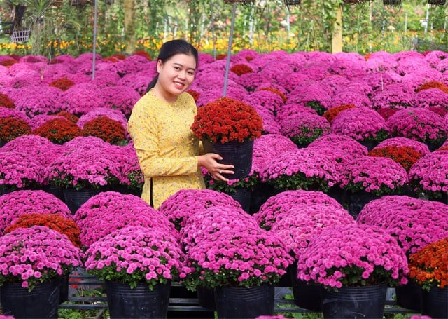 با سفر به دونگ تاپ، روستای گل سا دک و روستای باستانی دونگ هوا هیپ را به خاطر بسپارید - عکس ۱.