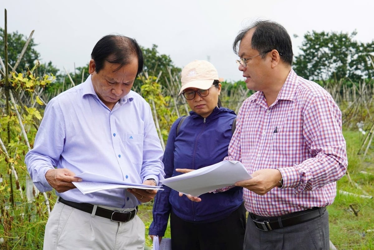 Các nhà khoa học của IAS trao đổi về một đề tài đang thực hiện. Ảnh: Lê Bình.