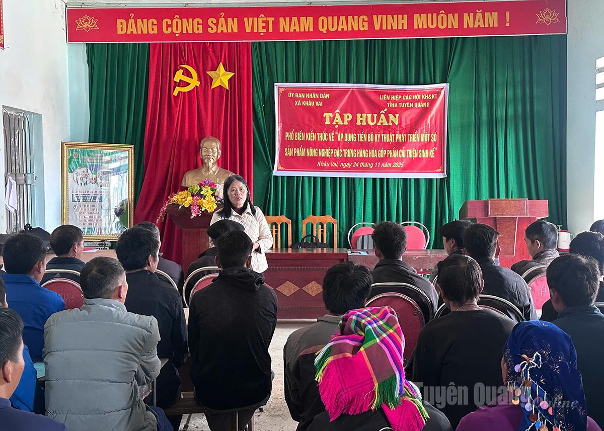 Opleidingscursus over technieken voor het fokken van varkens en het vetmesten van runderen in de gemeente Khau Vai.
