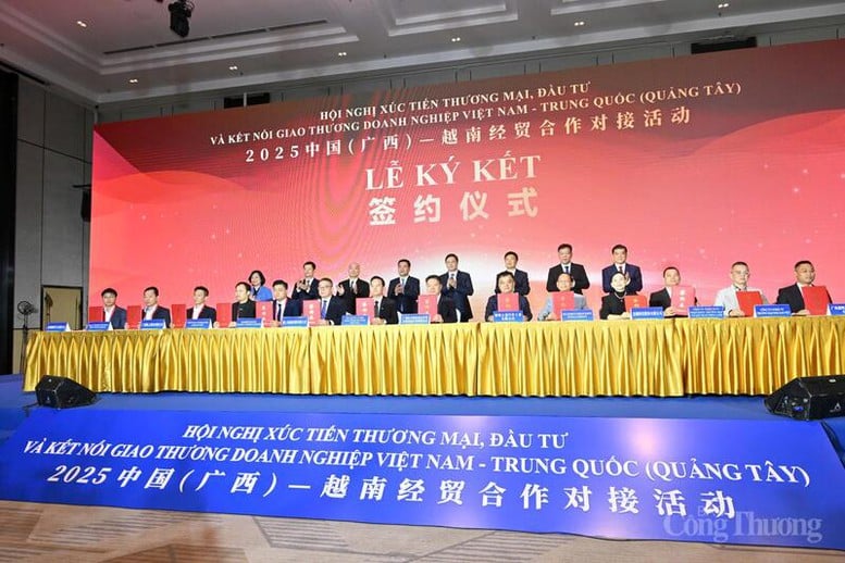 Việt Nam, Quảng Tây tăng cường hợp tác thương mại, đầu tư và kết nối doanh nghiệp- Ảnh 3.