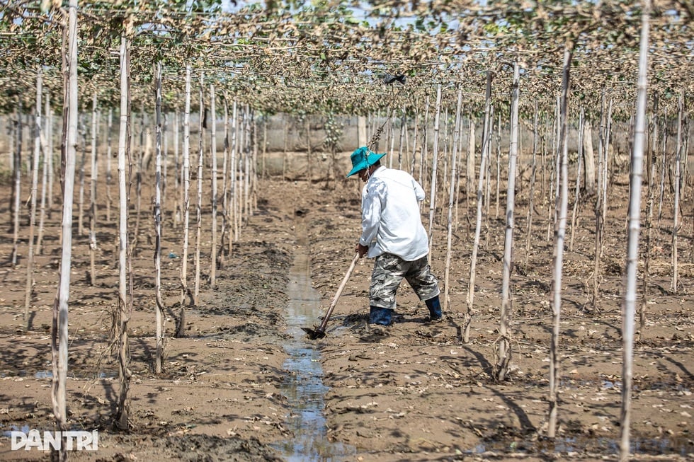 4つの脆弱なリンクが野菜価格を洪水後の嵐のレベルまで押し上げる - 2