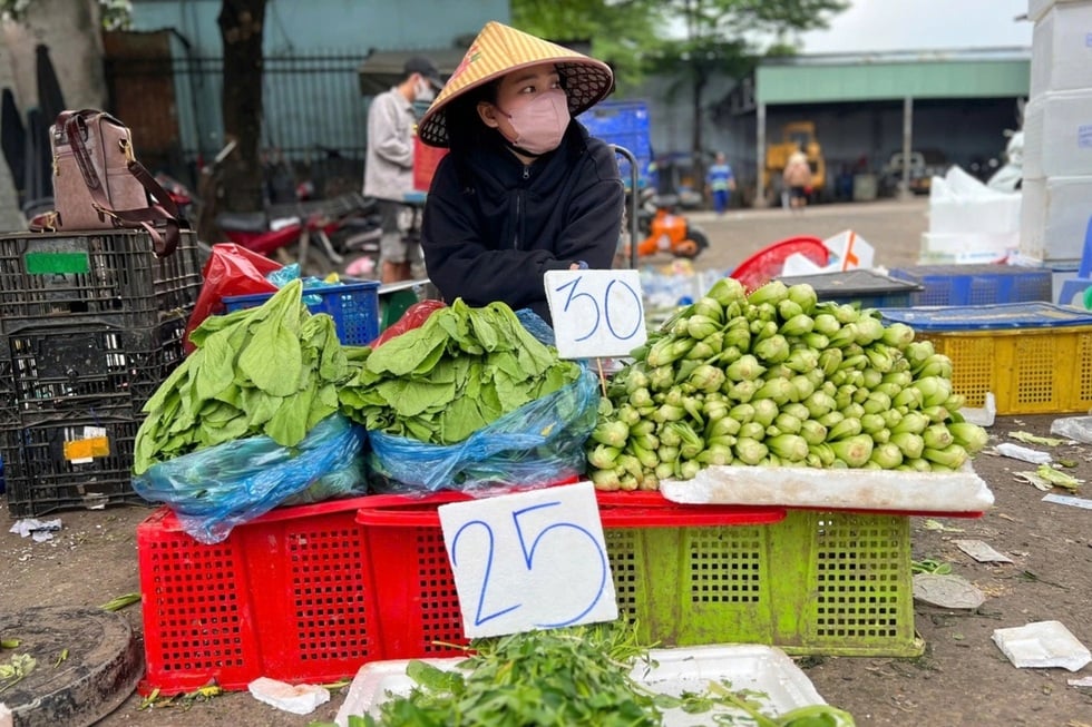 4つの脆弱なリンクが野菜価格を洪水後の嵐のレベルまで押し上げる - 3