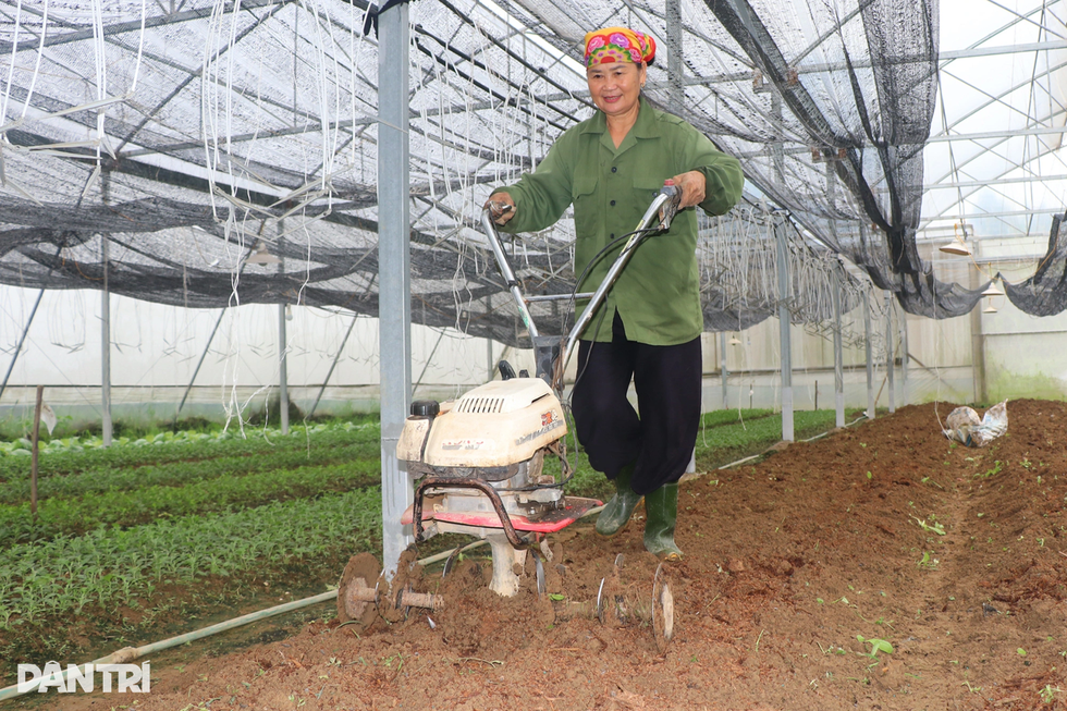 4つの脆弱なリンクが野菜価格を洪水後の嵐のレベルまで押し上げる - 8