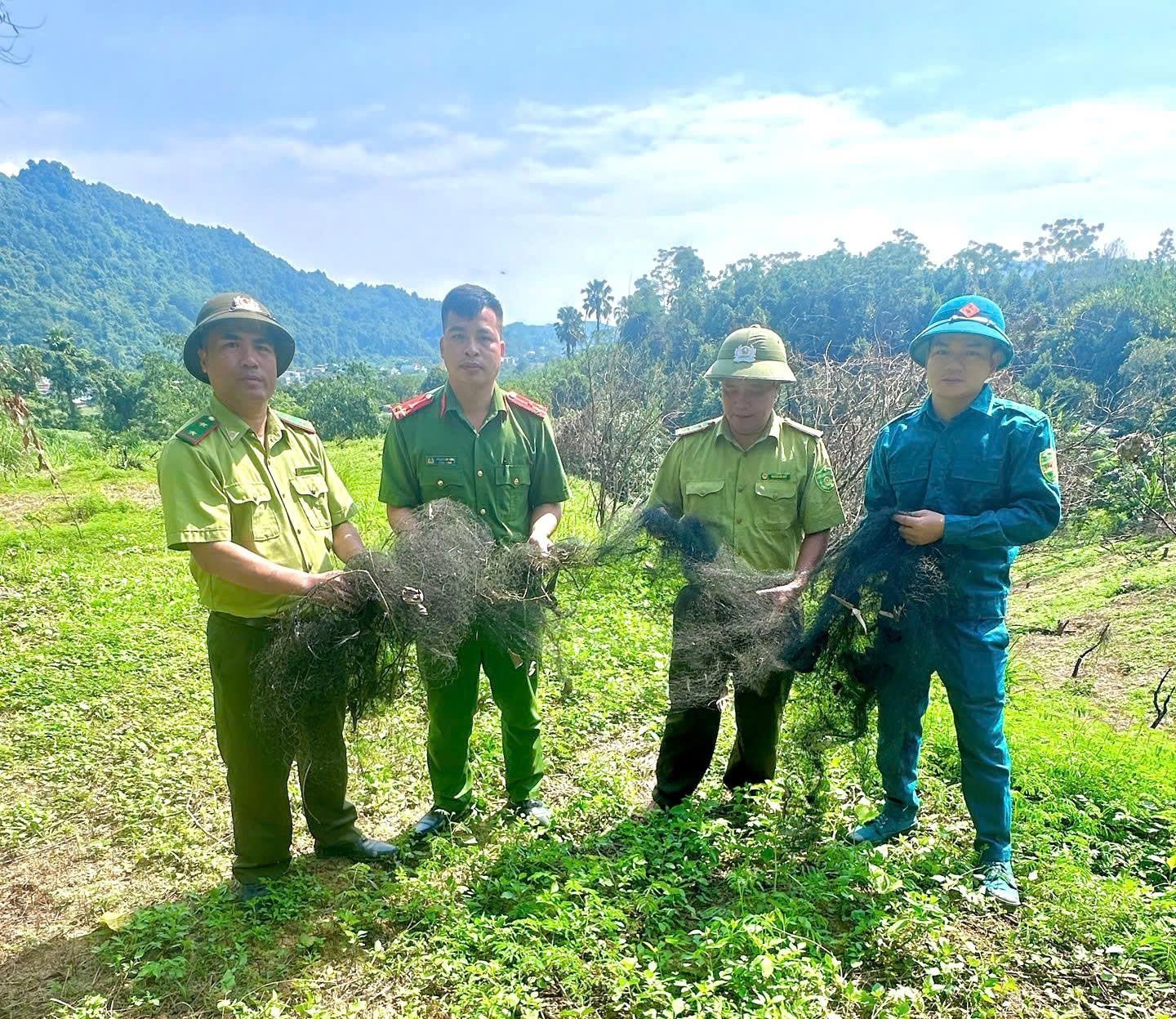 Lực lượng kiểm lâm tỉnh Tuyên Quang thu giữ dụng cụ của các đối tượng sử dụng để săn, bẫy chim trời. Ảnh: Đào Thanh.