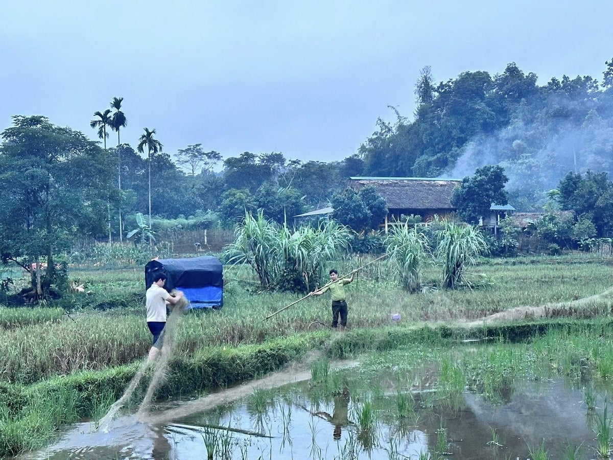 Mùa chim di cư là đợt cao điểm để các đối tượng thực hiện hành vi săn, bẫy chim trời. Ảnh: Đào Thanh.
