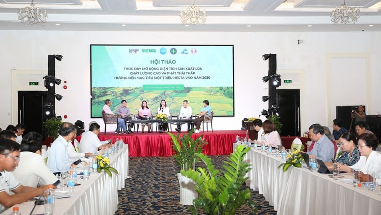 100만 헥타르 규모의 '녹색' 쌀 프로젝트: 2030년까지 완공을 목표로 사슬을 연결하고, 공정을 표준화 - 사진 1. Đề án 1 triệu ha lúa 'xanh': Liên kết chuỗi, chuẩn hóa quy trình để về đích 2030- Ảnh 1.