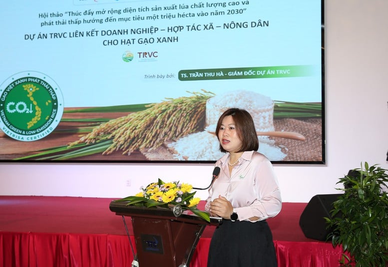 100만 헥타르 규모의 '녹색' 쌀 프로젝트: 2030년까지 완공을 목표로 사슬을 연결하고, 공정을 표준화 - 사진 2. Đề án 1 triệu ha lúa 'xanh': Liên kết chuỗi, chuẩn hóa quy trình để về đích 2030- Ảnh 2.