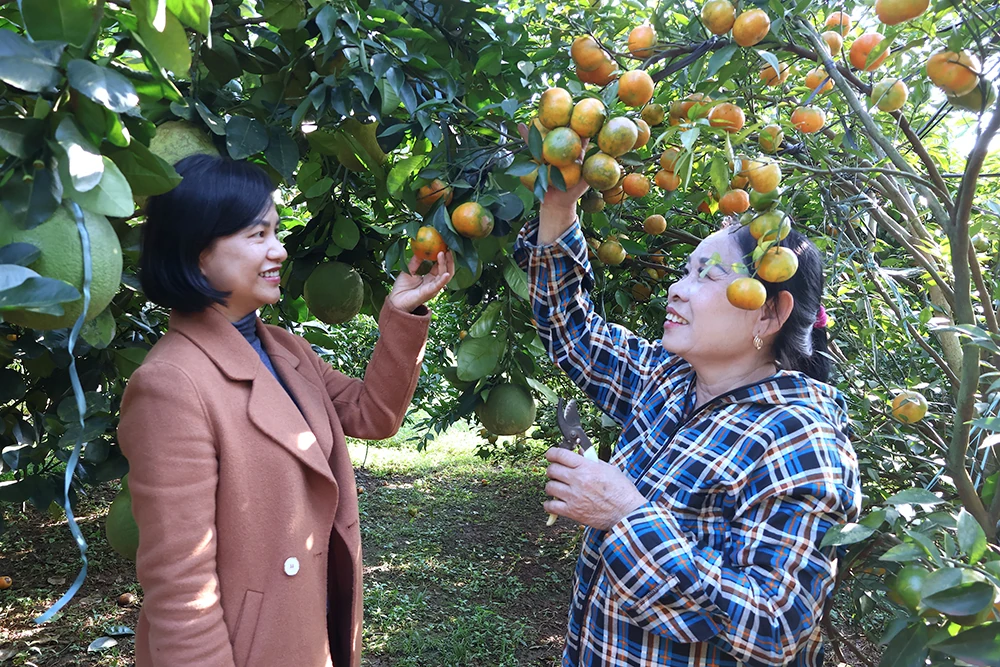 Politika kredi sermaye kaynaklarının etkinliğini teşvik etmek