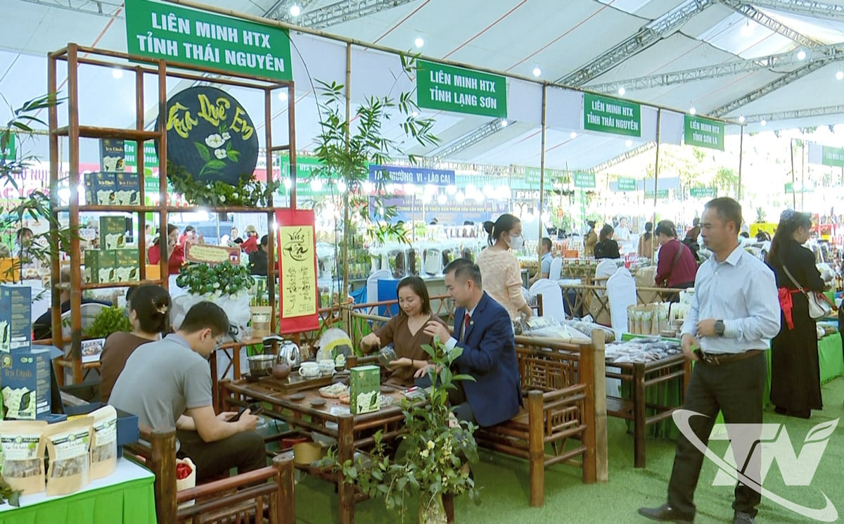 Des stands présentant les produits typiques des coopératives et des entreprises de la province et de l'extérieur.