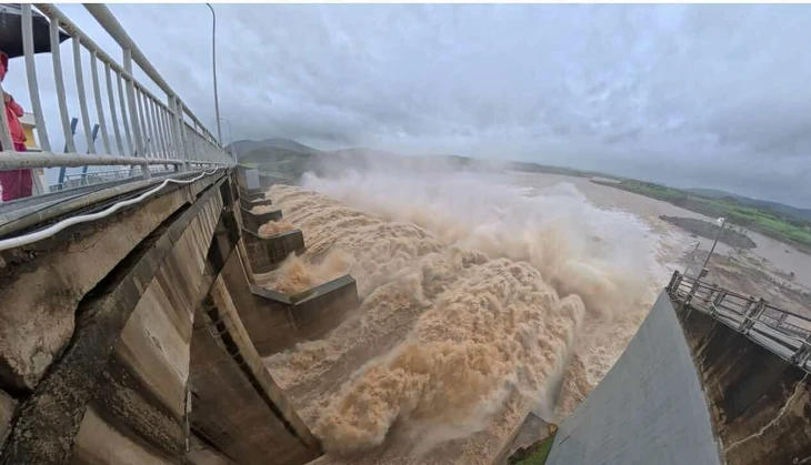 phó thủ tướng - Ảnh 1.