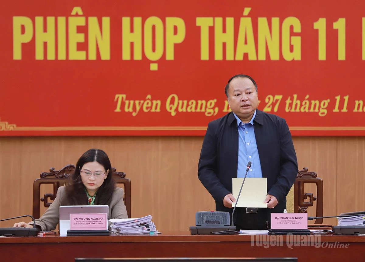 De voorzitter van het Provinciaal Volkscomité, Phan Huy Ngoc, hield een afsluitende toespraak tijdens de bijeenkomst.