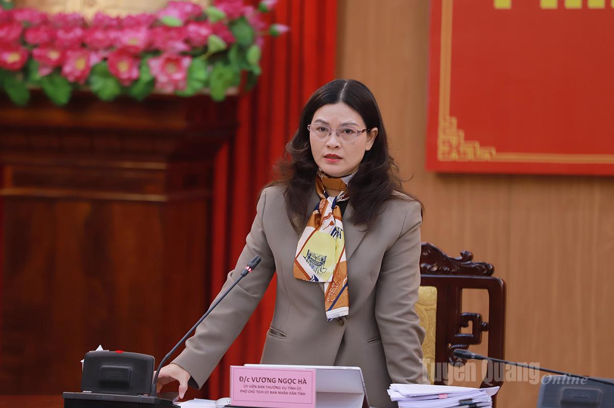 De vicevoorzitter van het Provinciaal Volkscomité, Vuong Ngoc Ha, vatte de standpunten van de vergadering samen.