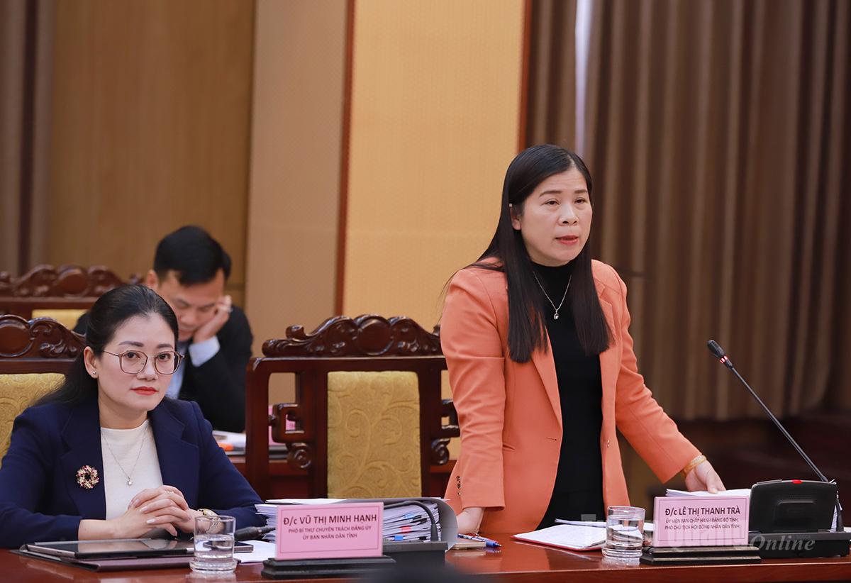 De vicevoorzitter van de Provinciale Volksraad, Le Thi Thanh Tra, sprak tijdens de vergadering.