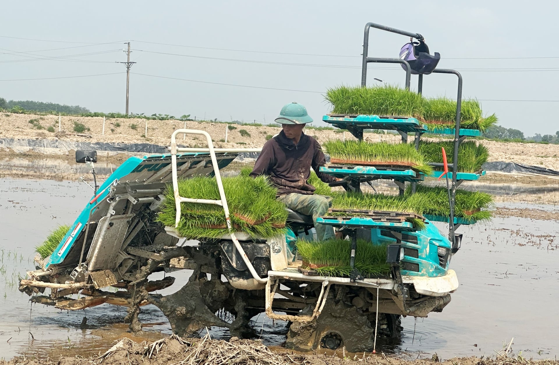 Mạ khay, máy cấy là một trong những giải pháp kỹ thuật được khuyến khích nhân rộng trong canh tác lúa giảm phát thải. Ảnh: Thanh Nga.