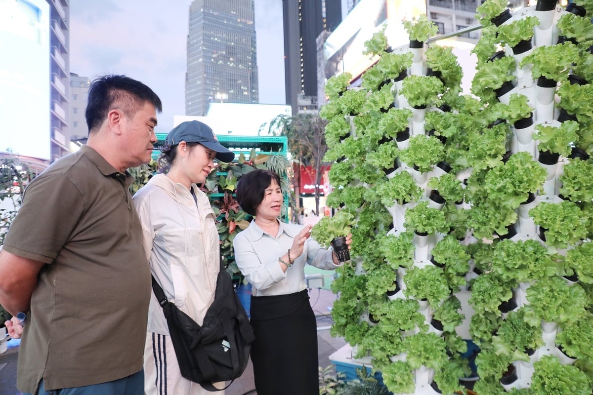 Atunci când sunt corelate cu ESG, MRV și creditele de carbon, fiecare metru pătrat de acoperiș, fiecare mică bucată de teren din oraș poate deveni un nou depozit de carbon și valoare climatică. Foto: Nguyen Thuy. Khi được gắn với ESG, MRV và tín chỉ các-bon, mỗi mét vuông mái nhà, mỗi mảnh đất nhỏ trong đô thị đều có thể trở thành một kho lưu trữ các-bon và giá trị khí hậu mới. Ảnh: Nguyễn Thủy.