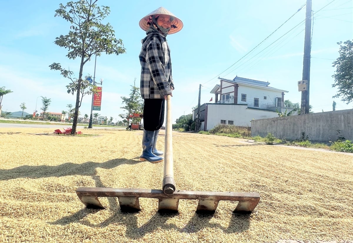 Và gia tăng giá trị kinh tế từ việc nâng cao chất lượng sản phẩm lúa gạo. Ảnh: Thanh Nga.