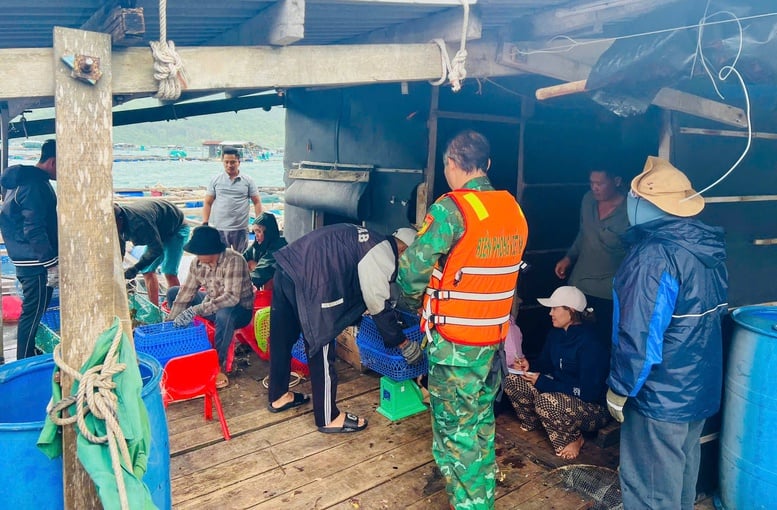 Ứng phó bão số 15: Đắk Lắk rà soát, sơ tán người dân trên các tàu, lồng bè- Ảnh 5.