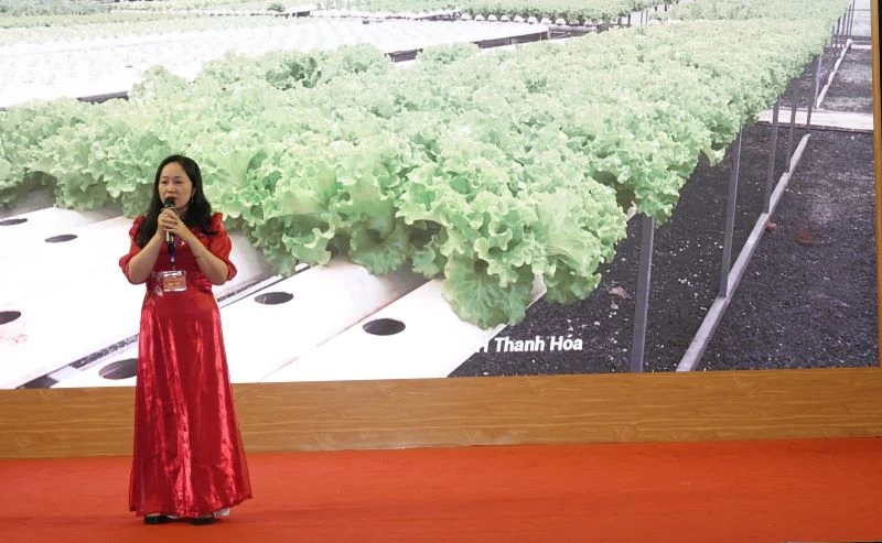 Rodada final do concurso 