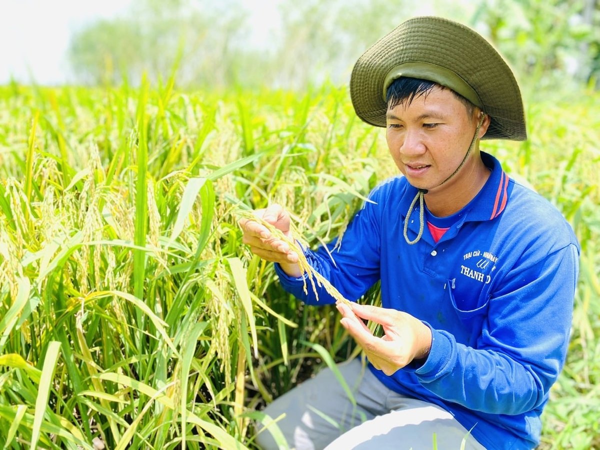 Ông Nguyễn Minh Tuấn, Giám đốc Hợp tác xã Sản xuất Nông nghiệp sinh thái Quyết Tiến (xã Phú Thọ, Đồng Tháp). Ảnh: Minh Sáng.