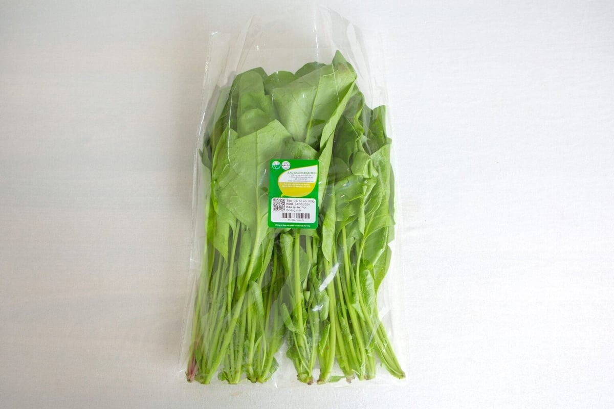 Quét mã QR trên bao bì để xem dữ liệu truy xuất nguồn gốc rau quả của HTX Chúc Sơn. Ảnh: Nguyễn Thủy.