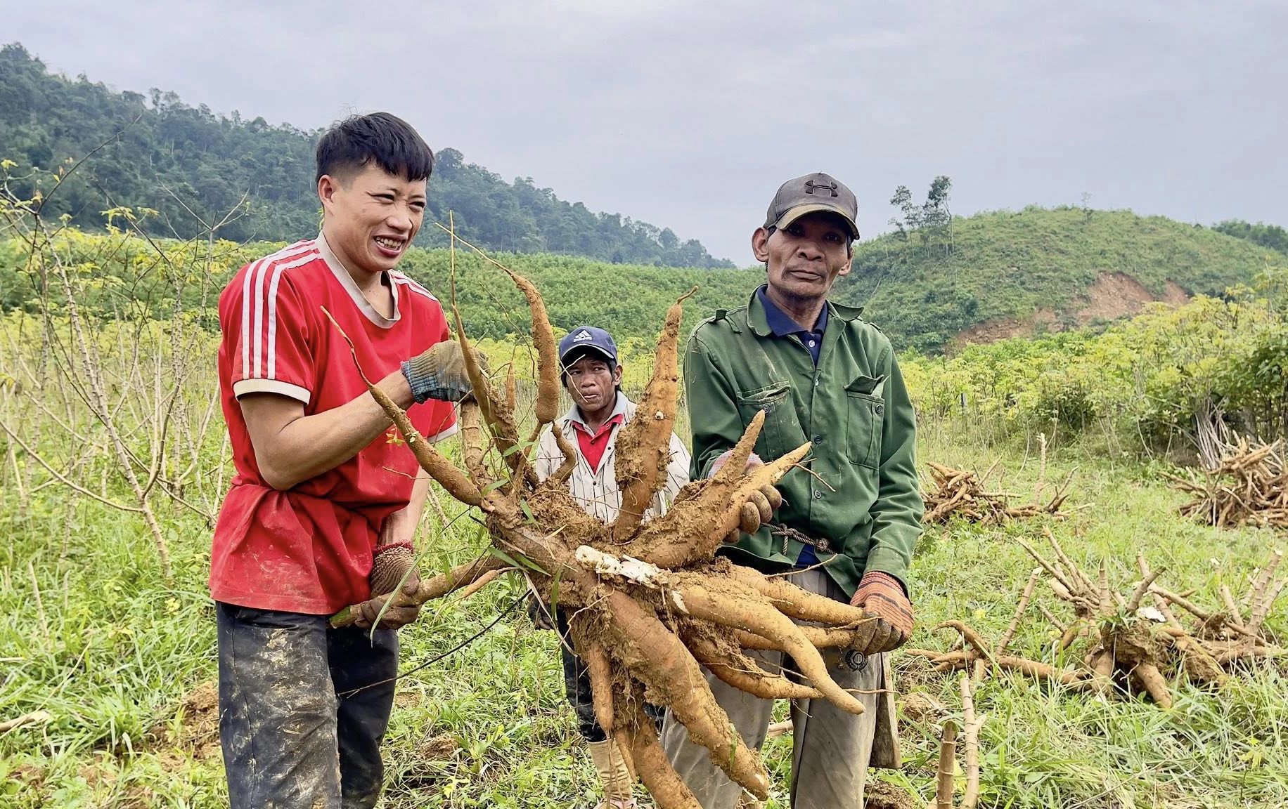 Dorpelingen uit Cao oogsten cassave - Foto: X.V