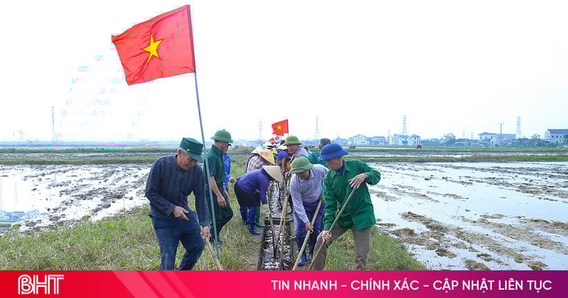 Boeren in Ha Tinh versnellen de voltooiing van hun velden en zijn klaar voor de voorjaarsoogst van 2