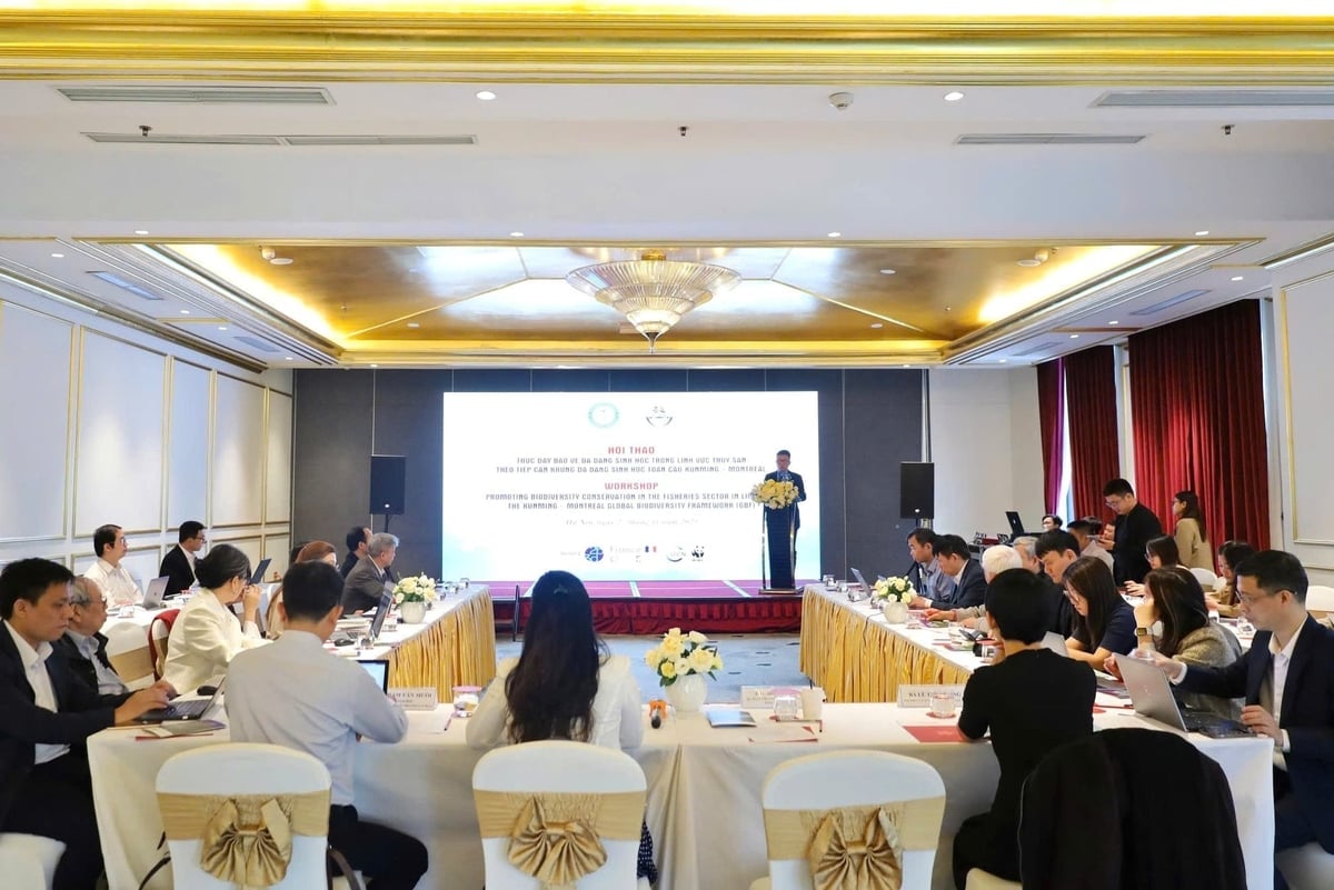 Hội thảo 'Thúc đẩy bảo vệ đa dạng sinh học trong lĩnh vực thủy sản theo tiếp cận Khung Đa dạng sinh học toàn cầu Kunming - Montreal (GBF) tại Việt Nam' được tổ chức vào sáng 27/11. Ảnh: Hồng Ngọc.