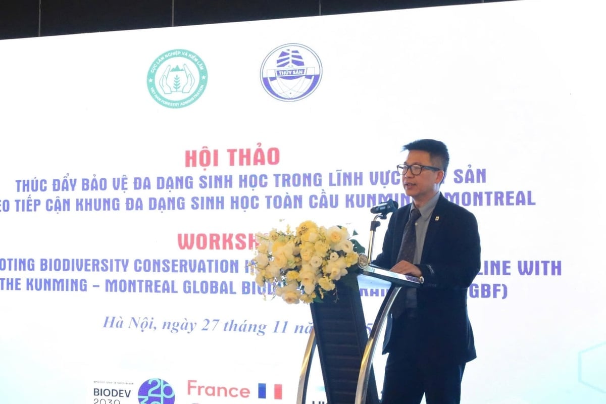 Ông Hoàng Việt, Trưởng Đại diện WWF Việt Nam, phát biểu tại hội thảo. Ảnh: Hồng Ngọc.