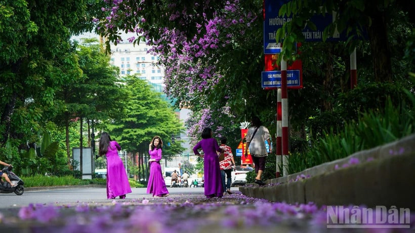 Een klein hoekje in de hoofdstad van Hanoi. (Foto: THANH DAT)