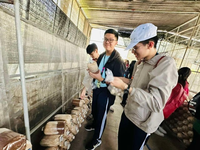 Diễn biến thời tiết phức tạp, Sở GD-ĐT TP.HCM đưa ra cảnh báo - Ảnh 1.