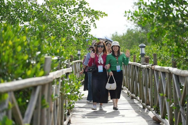 Hải Phòng điểm đến bốn mùa với sức hút không thể chối từ- Ảnh 2.