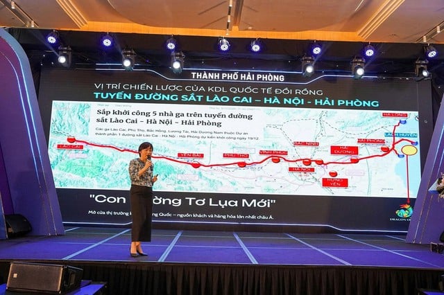 Hải Phòng điểm đến bốn mùa với sức hút không thể chối từ- Ảnh 3.