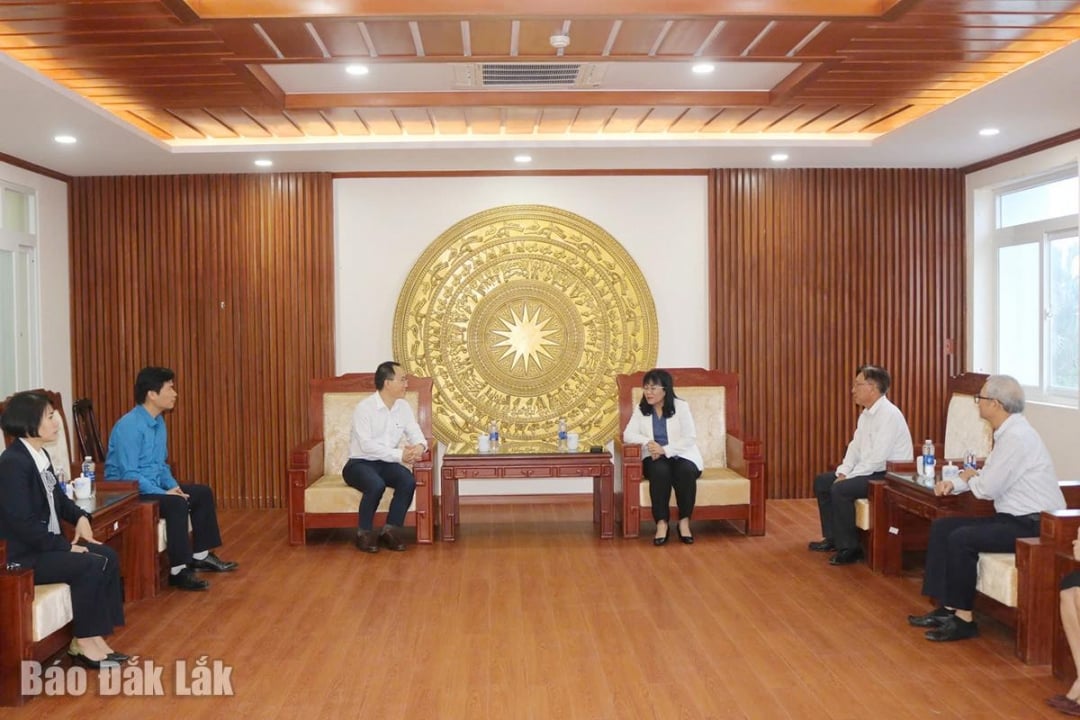 A camarada Ho Thi Nguyen Thao, membro do Comitê Permanente do Partido Provincial e vice-presidente permanente do Comitê Popular Provincial, recebeu a delegação de trabalho da Companhia de Eletricidade de Hanói.