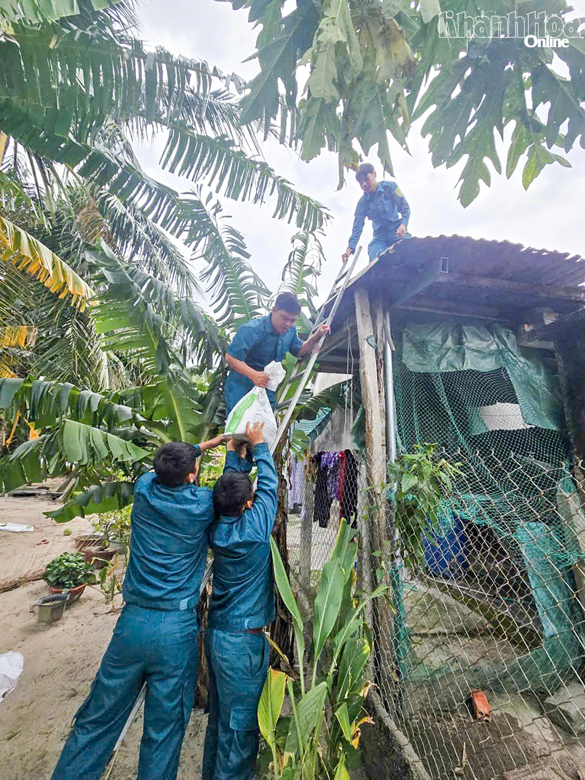 民兵部隊が、嵐15号に備えて人々の家を強固にするのを手伝っている。