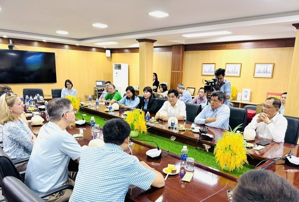 Ông Trần Thanh Nam, Thứ trưởng Bộ Nông nghiệp và Môi trường trao đổi với đoàn công tác Ngân hàng Thế giới về Đề án 1 triệu hecta lúa chất lượng cao tại ĐBSCL đang triển khai. Ảnh: Lê Hoàng Vũ.