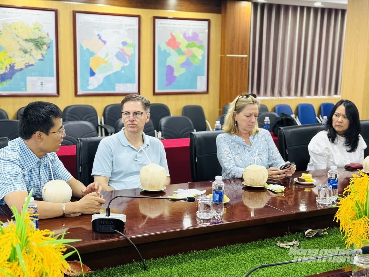 Đoàn công tác của WB coi đề án 1 triệu hecta lúa chất lượng cao là mô hình trọng điểm để chứng minh nỗ lực chuyển đổi xanh của Việt Nam, làm mẫu cho các chương trình nông nghiệp phát thải thấp khác. Ảnh: Lê Hoàng Vũ.