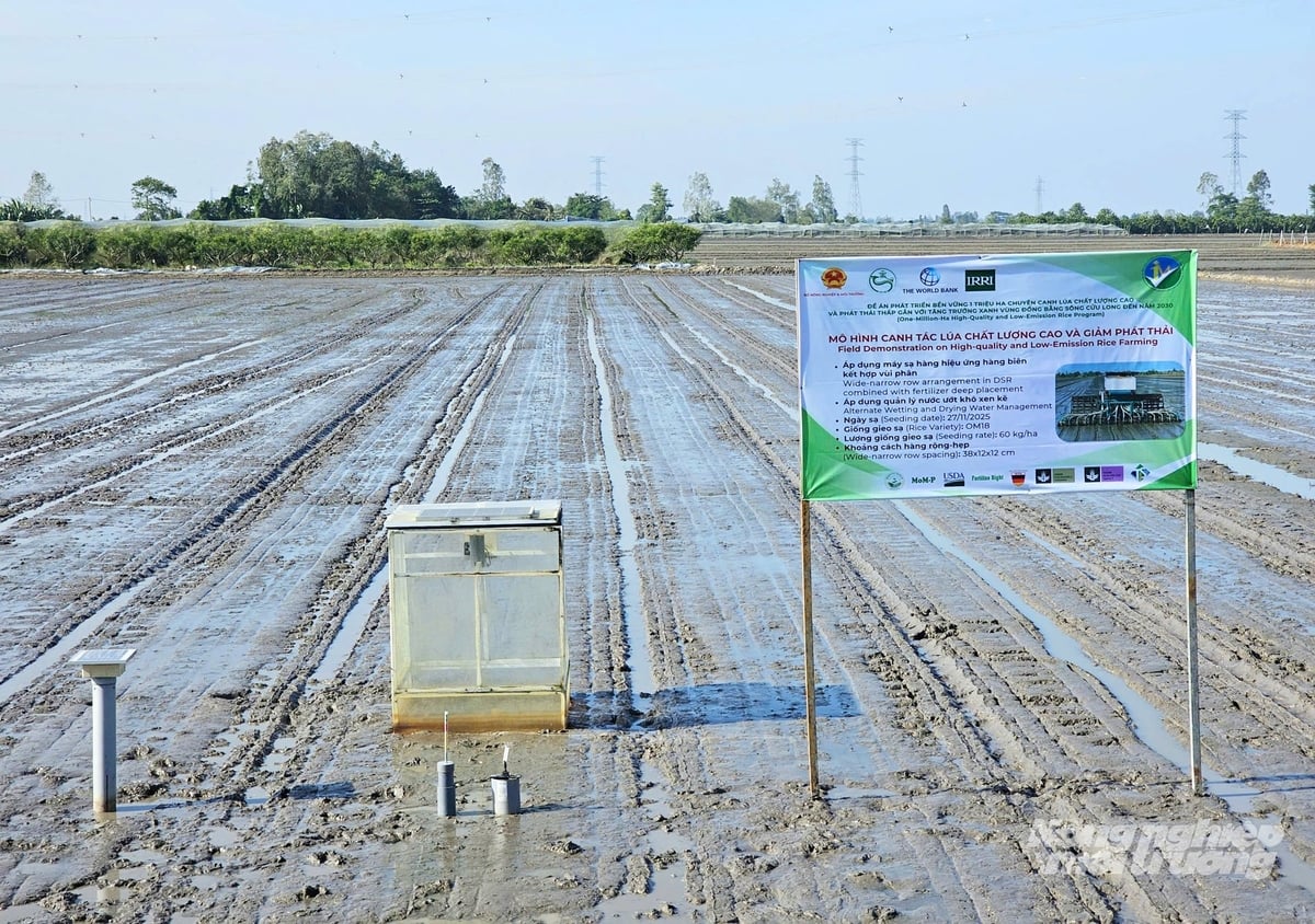 HTX New Green Farm đang thực hành canh tác bền vững, ứng dụng thiết bị đo phát thải và phát triển kinh tế tuần hoàn trên đồng ruộng. Ảnh: Lê Hoàng Vũ.