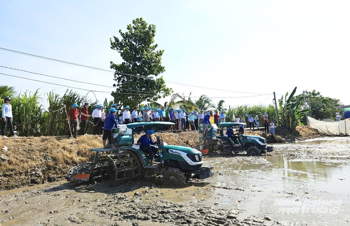 Bộ NN-MT cùng Ngân hàng Thế giới đến Cần Thơ khảo sát trồng lúa giảm phát thải, đánh giá hệ thống MRV và muốn mở rộng Đề án 1 triệu hecta lúa chất lượng cao. Ảnh: Lê Hoàng Vũ.