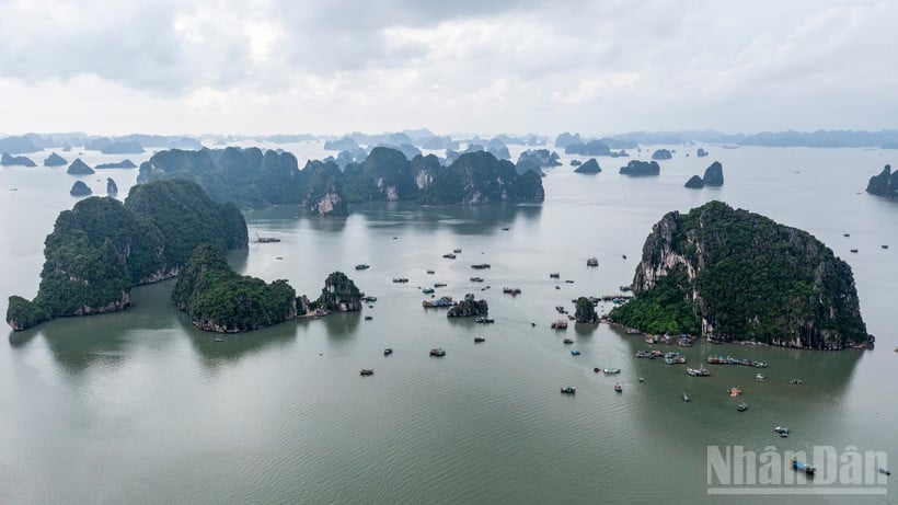 Zátoka Ha Long je jednou z destinací, které si australští turisté vybírají při cestě do Vietnamu. (Foto: THANH DAT)