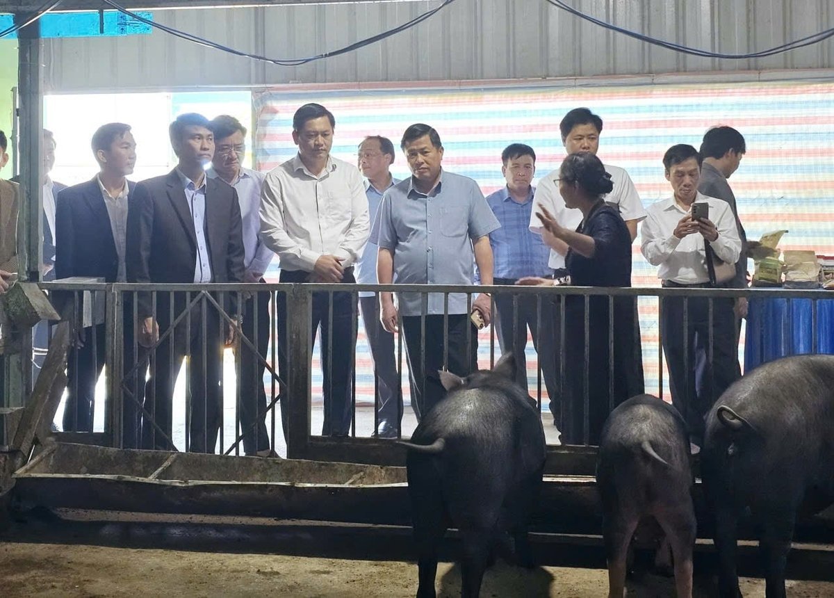 Phó Chủ tịch UBND tỉnh Phú Thọ Đinh Công Sứ thăm mô hình chăn nuôi an toàn sinh học của Tập đoàn Quế Lâm. Ảnh: Hoàng Anh.